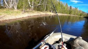 Рыбалка в Карелии и тест спиннинга M-Aire Trucha Boron TB-63H-3p