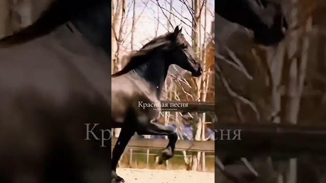 ЖИВИ В ЛЮБВИ!!!💖🤝💝 ДЫШИ ЛЮБОВЬЮ🙌🌈🏠🕊️ смотреть онлайн