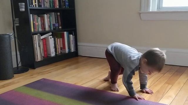 2019 02 02 15 55 44 pooping смотреть онлайн