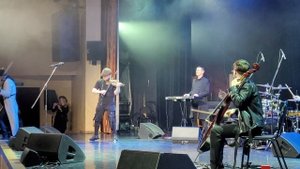 Яша Мулерман и @Mulermanband. Cover violin. Звери - Районы-Кварталы