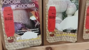 Какие мицелии (грибницы) грибов можно купить в магазине в феврале.