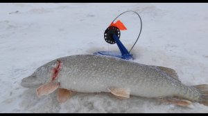 ✅РЫБАЛКА/ЖЕРЛИЦЫ/⚡ЩУКА/ ЗИМНЯЯ РЫБАЛКА НА ЩУКУ/⚡РАЗВЕДКА ПО ЩУЧЬИМ МЕСТАМ/