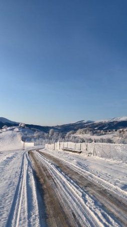 Самое прекрасное место в мире зимний уголок #зима