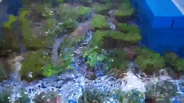 TMC Bristol Hard Corals 24 April 2013 Part 3 смотреть онлайн