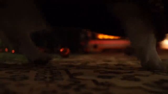 Корги готовится встречать Рождество. смотреть онлайн