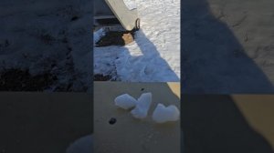 наггетсы от Аливия
