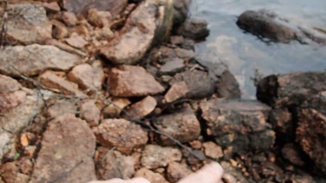 Rockhounding in wilderness смотреть онлайн