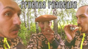 VLOG: ГРИБНАЯ РАЗВЕДКА
