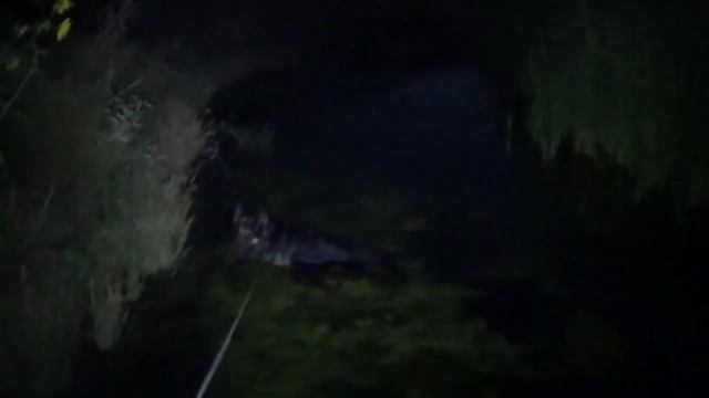 The Pain of Living with Security Cameras in the House Voyeurism смотреть онлайн