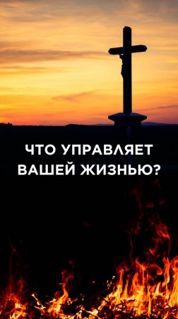 ЧТО УПРАВЛЯЕТ ВАШЕЙ ЖИЗНЬЮ?