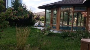 SWANS 🦢🦢, лебеди,seagulls🐦🐦 🐦,ducks🦆🦆🦆,утки, чайки,