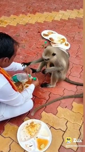 अब दया करो बजरंगबली || Ab Daya Karo Bajarangabalee смотреть онлайн