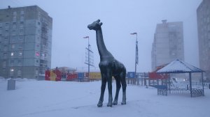 2025.02.07. Норильск. ул. Талнахская 8, 10. По заказу подписчика.