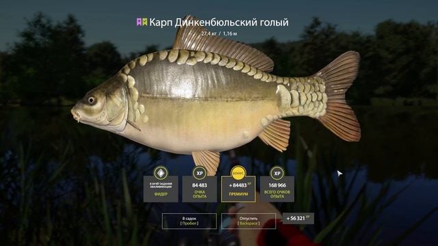 РР4. НЕДЕЛЬНЫЙ РЕКОРД СНГ. Карп Динкенбюльский голый. РР4 смотреть онлайн