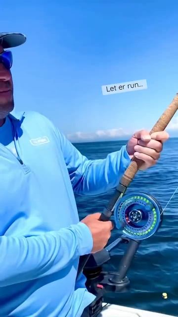 King salmon…ripping runs. #salmonfishing #shorts #awesome смотреть онлайн