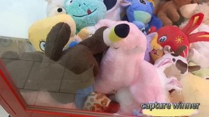 ЛОВЛЮ РАЗНЫХ МИШЕК🧸 лапка не захотела идти ко мне 🤷♀