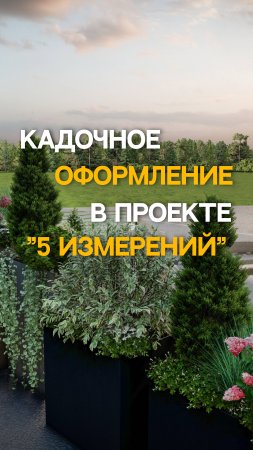 Кадочное озеленение
