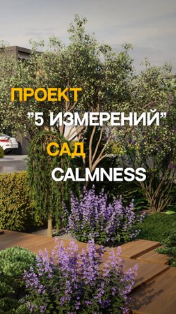 Сад CALMNESS