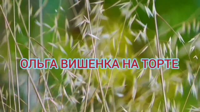 РЫДАЮ ОТ СМЕХА! ВЕЧЕРНЯЯ ЗВЕЗДА КУБАНИ! ОЛЮНЯ И КОТЮНЯ. ОБЗОР.
