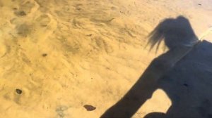 Развлечения в плавнях😱 / Днепр ж.м парус прекрасен / открыл пляжный сезон