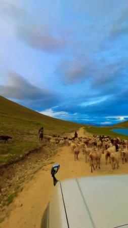 Sheosar Lake Deosai Plan Gilgit Baltistan [roof of the world] #Deosai #roofoftheworld  #sheosarlake