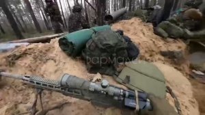 Шервудский лес  СВО