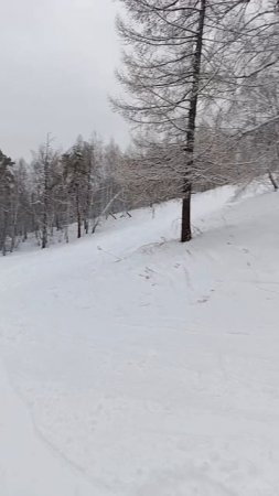 Старший сын на лыжах Вишнёвые горы осваивает