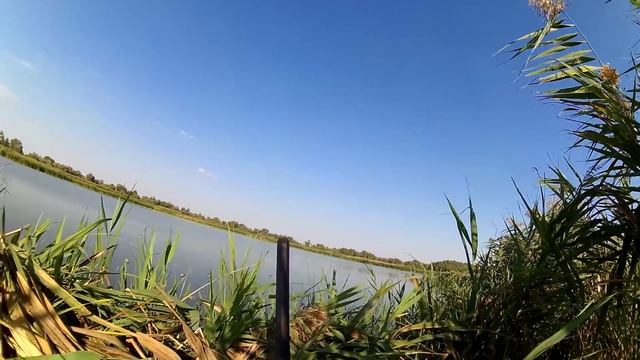 Утка - 2016 (6) смотреть онлайн