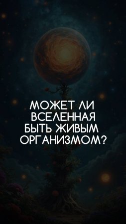 Может ли вселенная быть живым организмом?