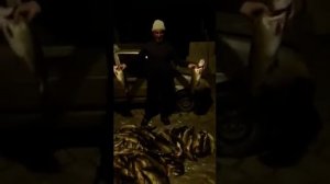 Обалденный улов щуки за один день!