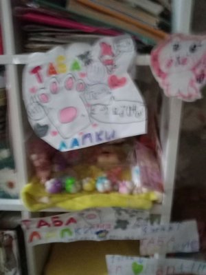 Делаю заказ таба сквишей моей подписчици 1 часть