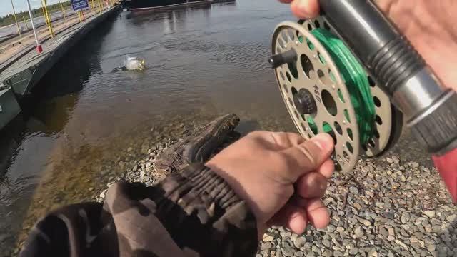 На рыбалку с сыном Часть 2