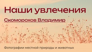 Мир наших увлечений -