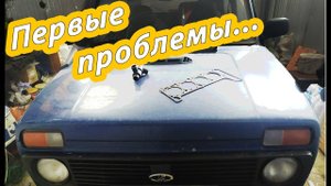 НИВА на 150 л.с. ПЕРВЫЕ ПРОБЛЕМЫ...