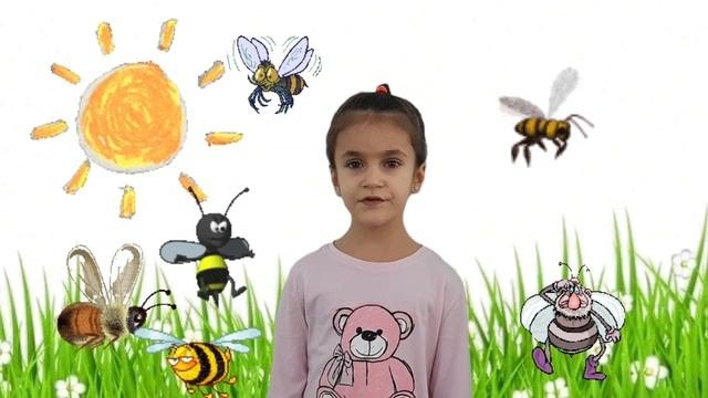 МБДОУ2