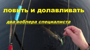 Ловить и долавливать. Два воблера спеца.