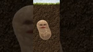 АРАМ ЗАМ ЗАМ песни для детей