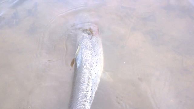 WP 20160417 005 смотреть онлайн