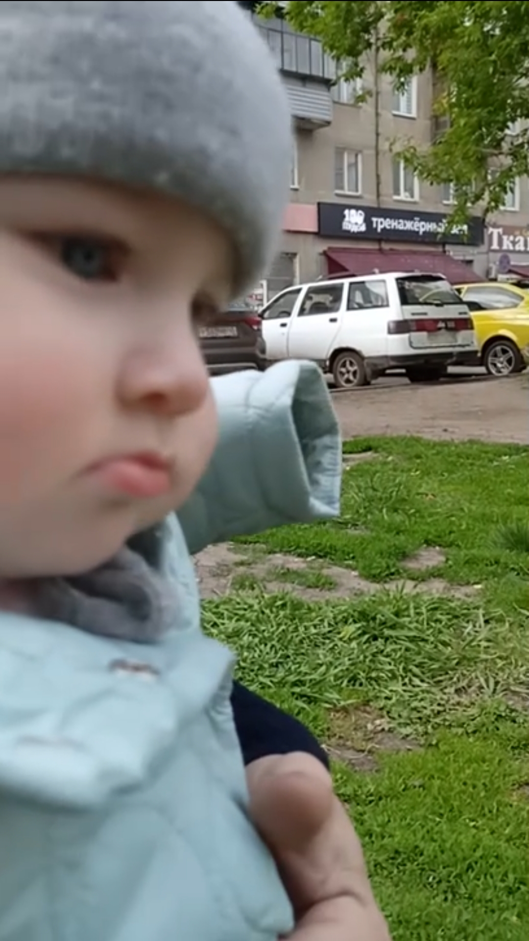 Первый раз увидели голубей