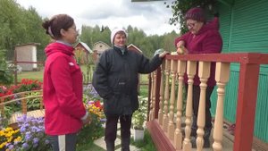 6 соток 20 сентября 2020 года. Сажаю клубнику, перекапываю грядку под чеснок и демонтирую