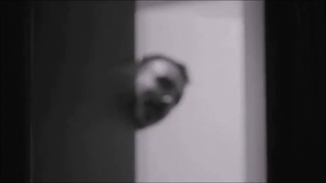 Домашние растения