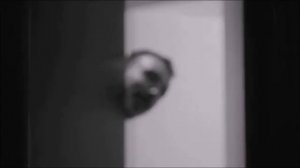 Домашние растения