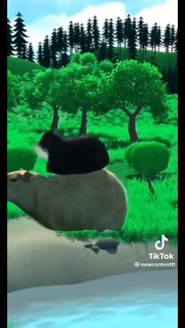 капибара котик смотреть онлайн