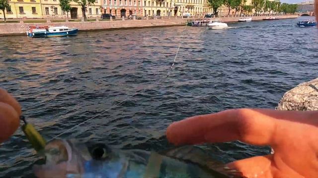 ЛОВИМ ОКУНЯ В ЦЕНТРЕ САНКТ ПЕТЕРБУРГА РЕКА ФОНТАНКА СНАЧАЛО РАЗВЕДКА - СТАРТАНУЛ ОТ Аничкова моста