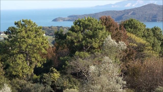 牛窓ホテルリマーニとオリーブ園　(Ushimado Hotel Limani & Olive farm ) смотреть онлайн