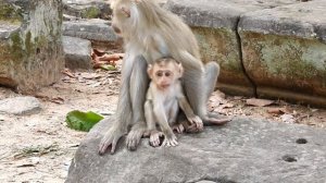 O.M.G, Mom, help me now !! Help me !