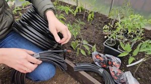 Автополив - это просто: обзор и установка