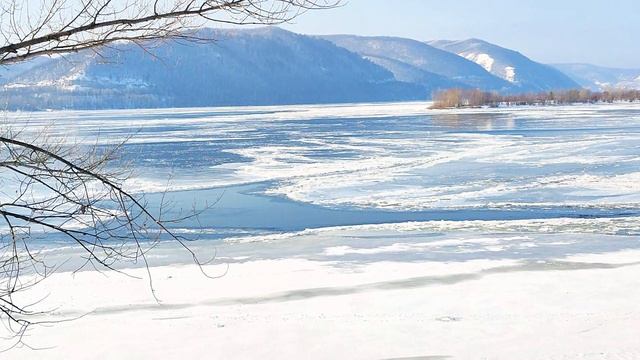 Лесобиржа 8 февраля 2025 г