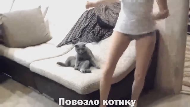 Отборные COUB'ики #18: Катя Клэп встретилась с Обамой смотреть онлайн