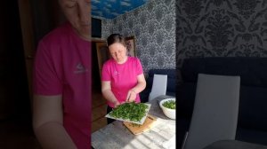 дегидратор петрушка' зелёный лук